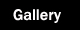 Gallery of Photography